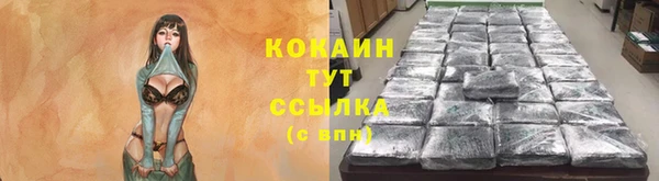 гидропоника Белоозёрский