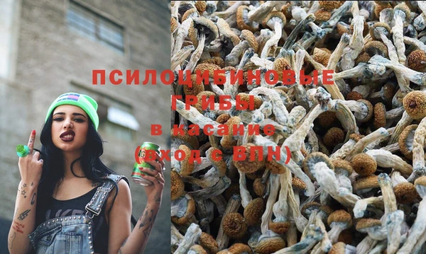 твердый Беломорск