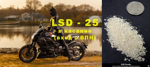 ECSTASY Белокуриха