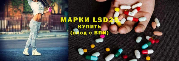 ECSTASY Белокуриха
