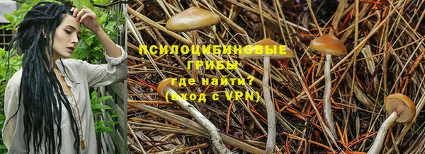 гидропоника Белоозёрский