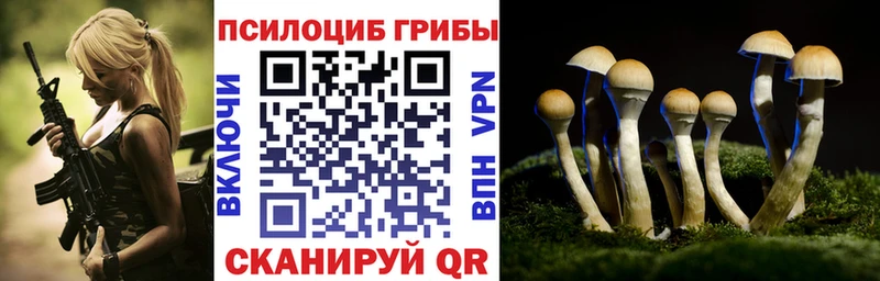 Псилоцибиновые грибы мухоморы где купить наркотик Екатеринбург